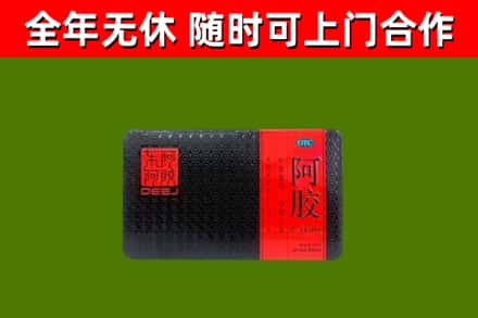 涞水回收阿胶